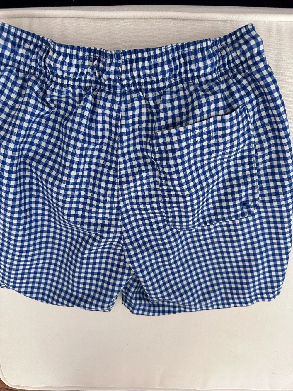 Goodfellow & Co Blue Gingham Swim Trunks